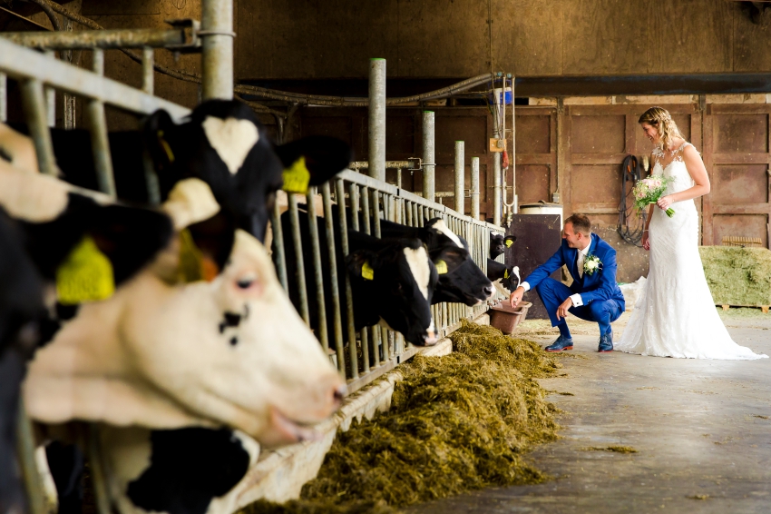 Genodigden tijdens de bruiloft van Bruiloft in Drenthe