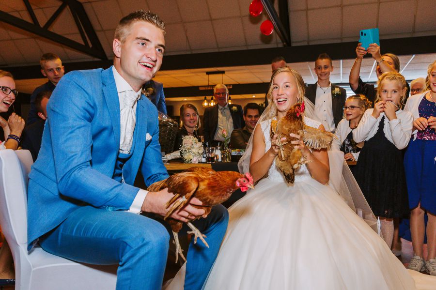 Genodigden tijdens de bruiloft van Bruiloft in Friesland