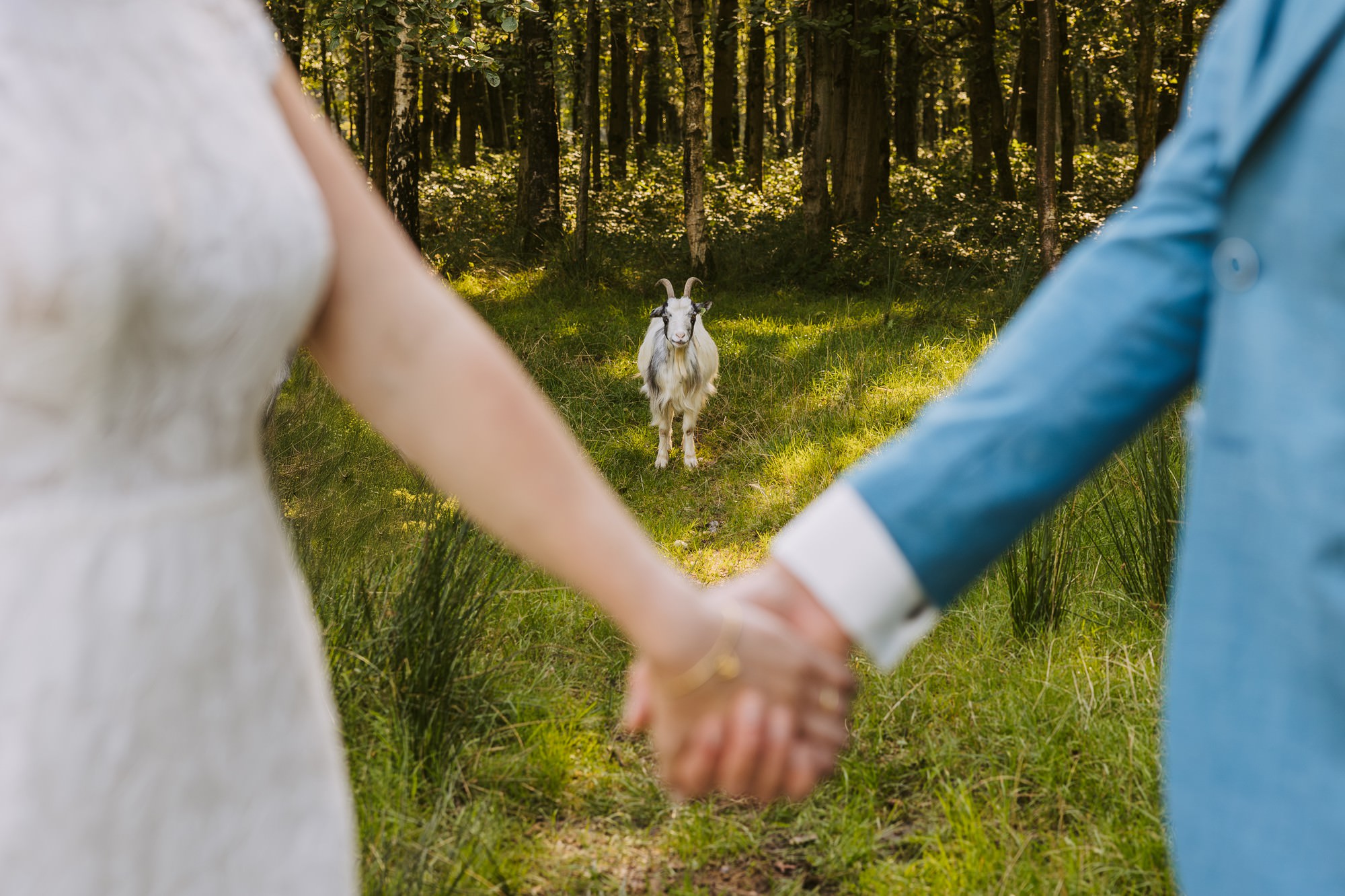 Bruidspaar hand in hand in het bos bij Drachten
